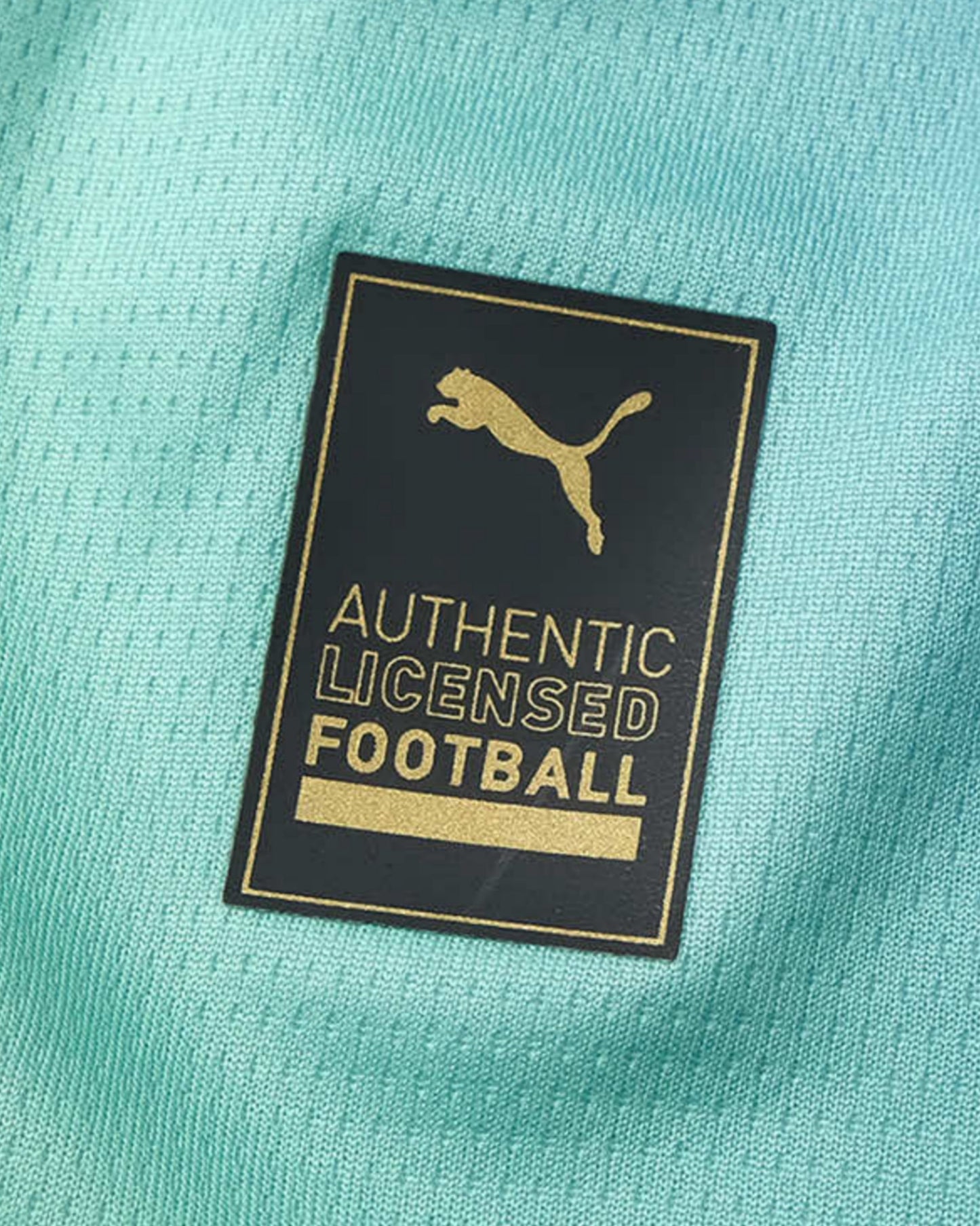 AC Milan training football jersey 2023/24 black and gold Puma authentic licensed patch