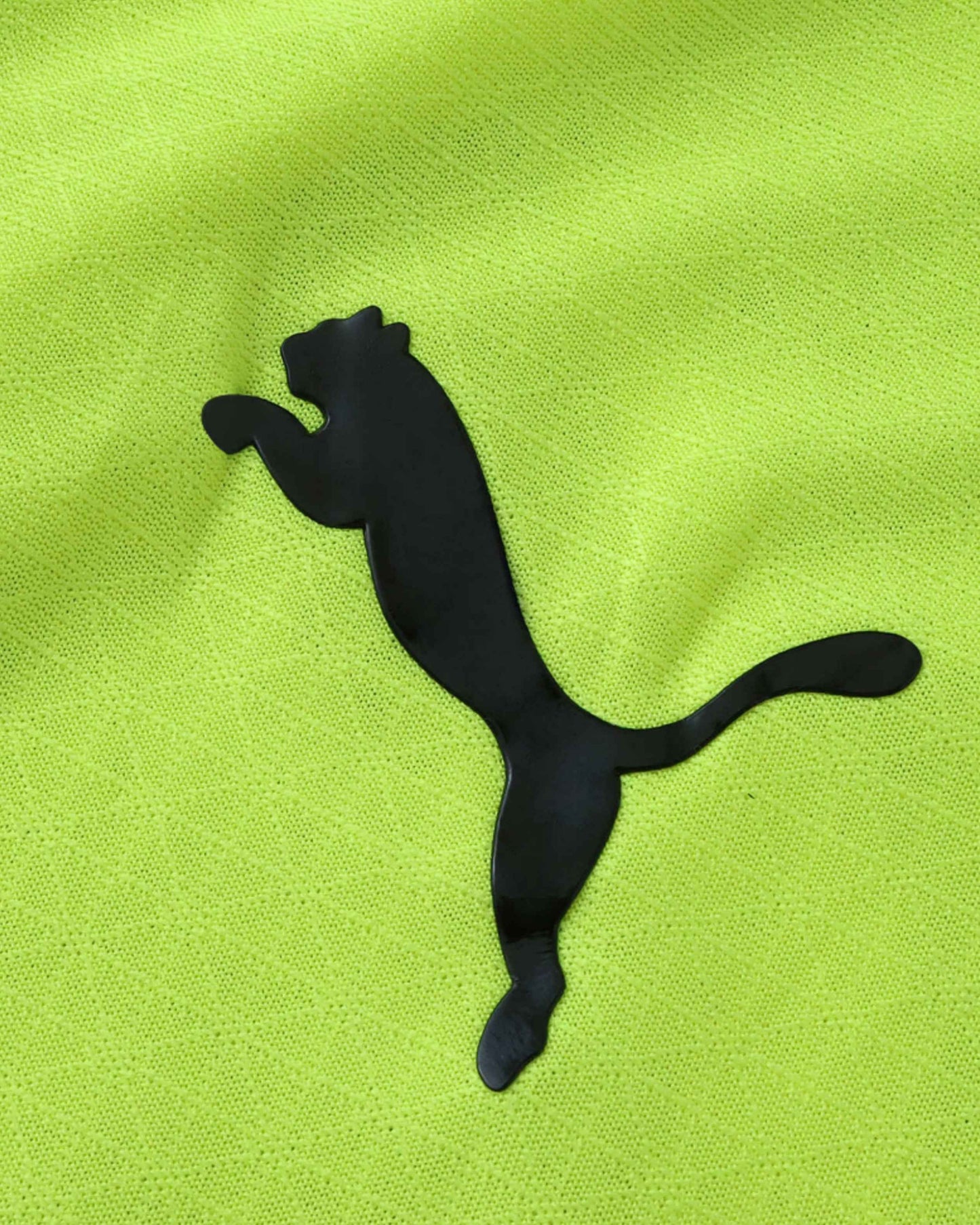 Borussia Dortmund green football kit with black Puma logo.