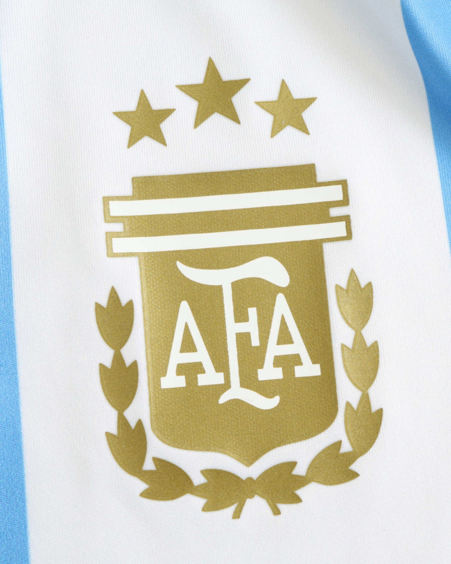 ARGENTINA HOME 2024/25 - Footxo