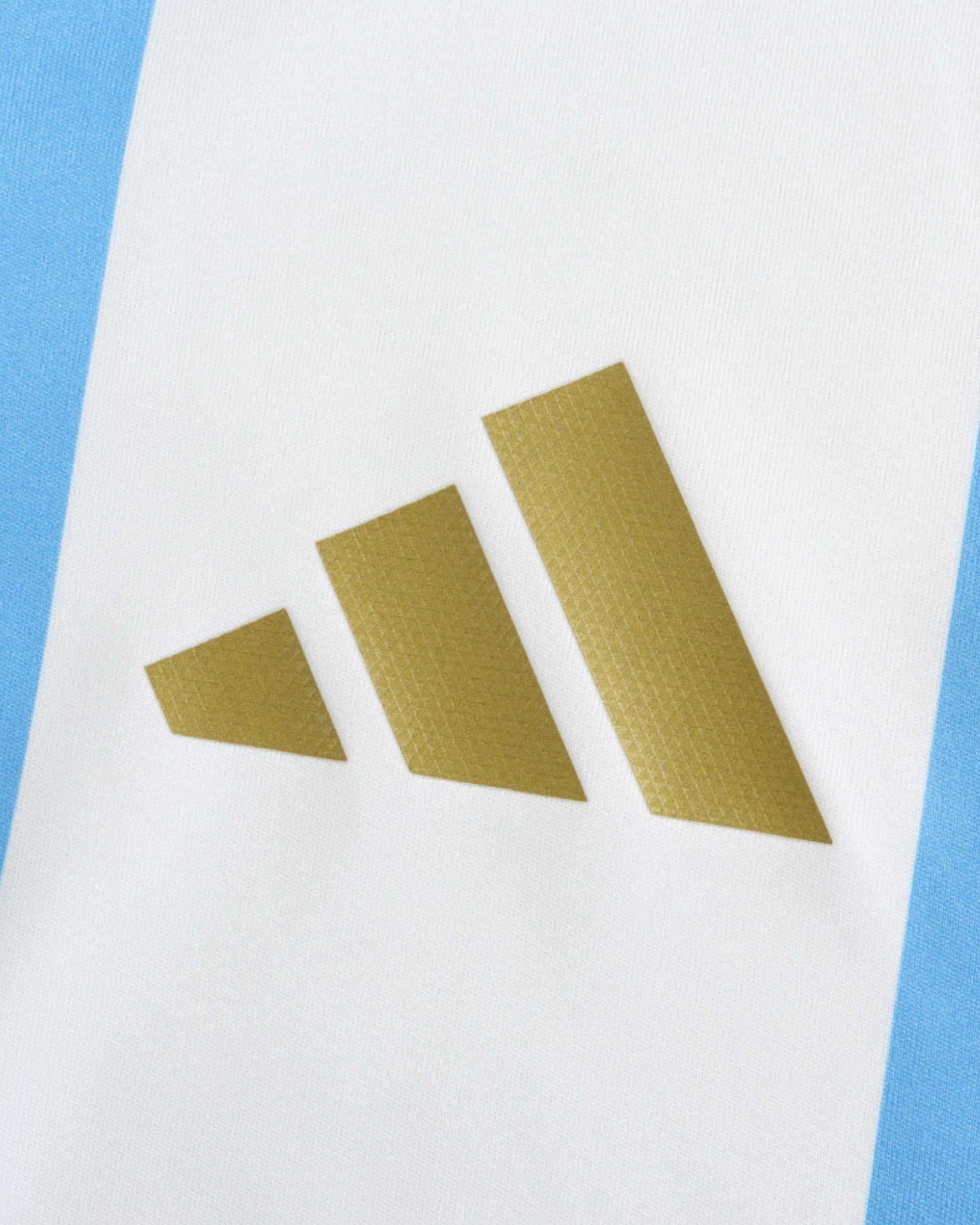 ARGENTINA HOME 2024/25 - Footxo