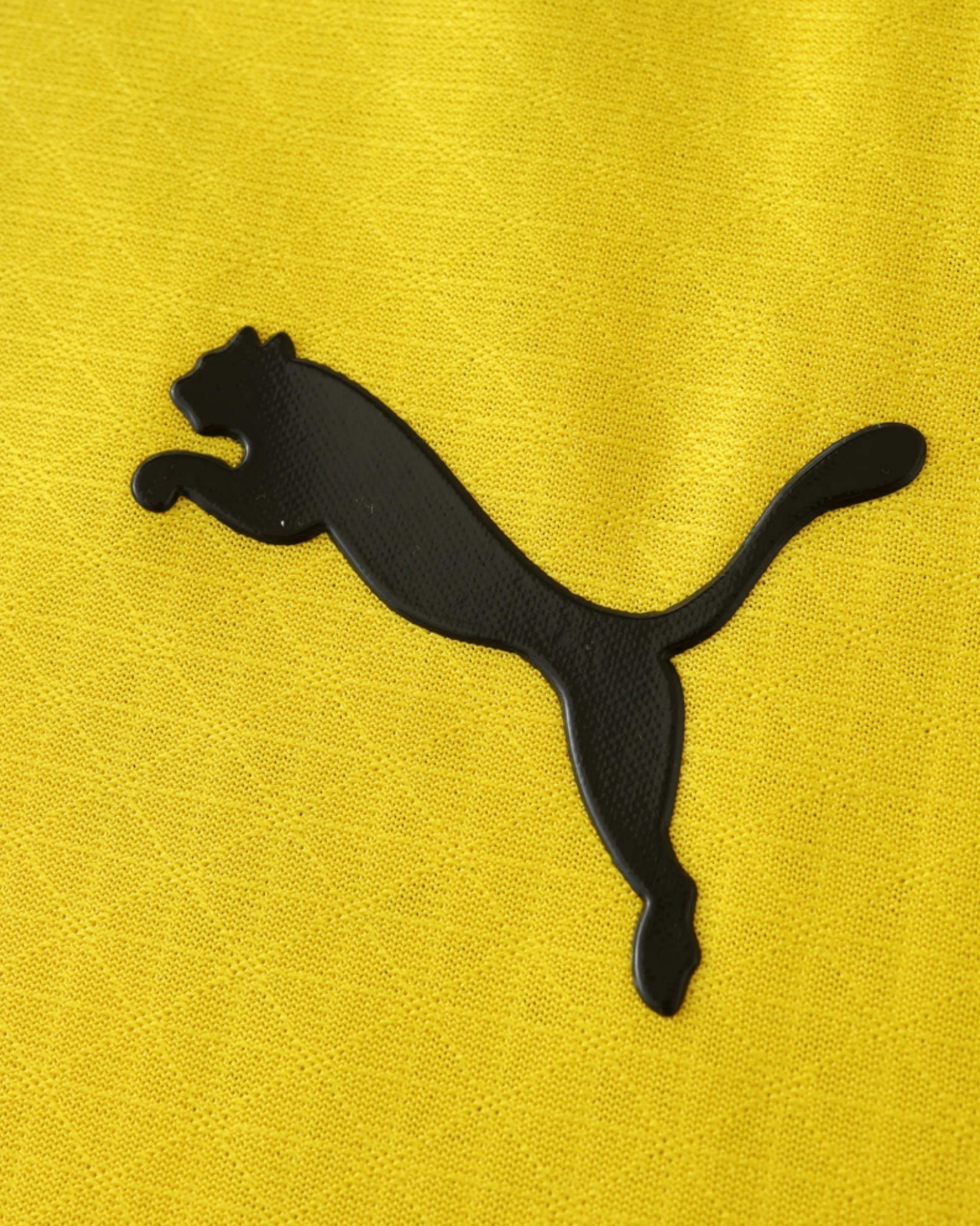 DORTMUND CHAMPIONS LEAGUE HOME 2024/25 - Footxo