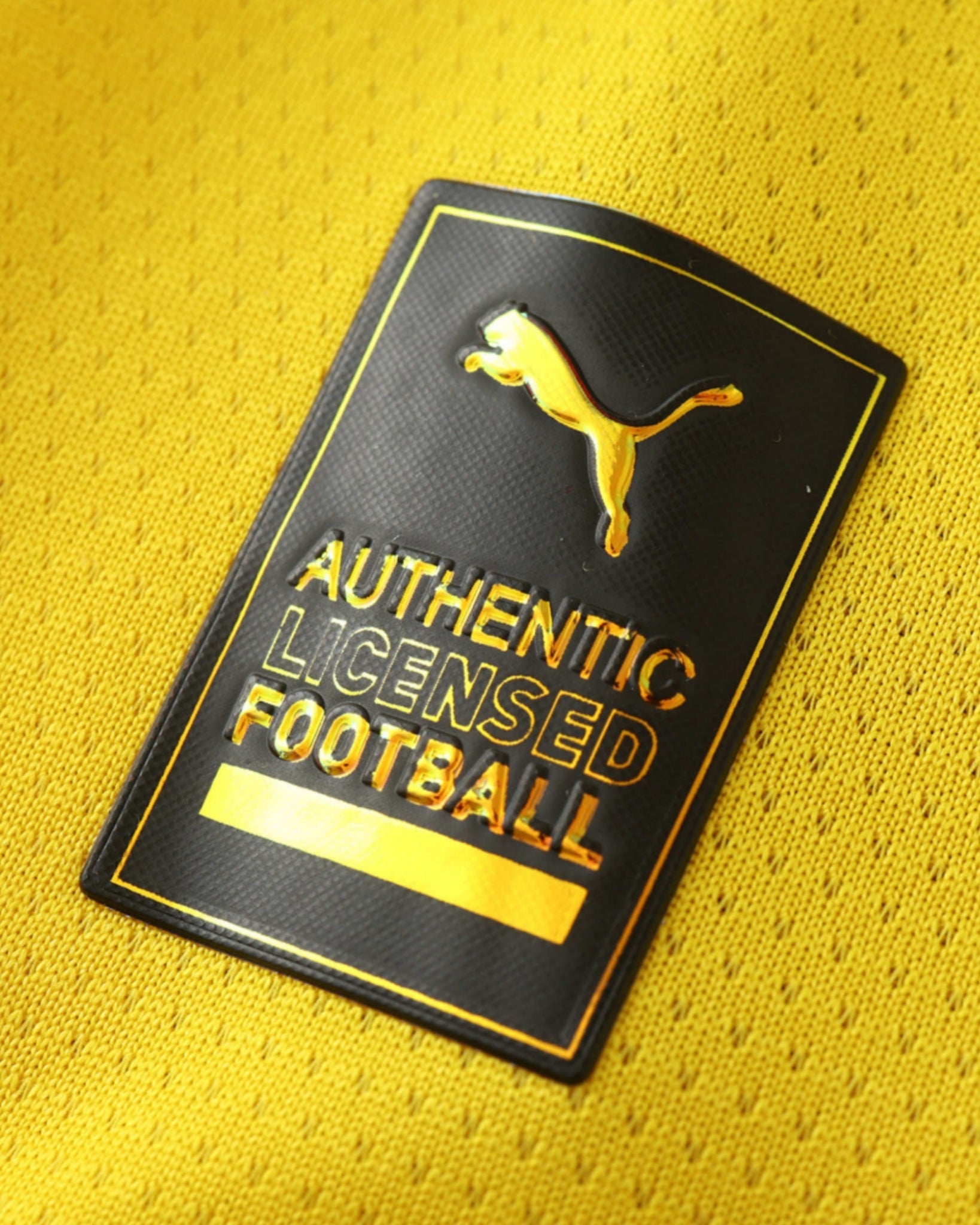 DORTMUND CHAMPIONS LEAGUE HOME 2024/25 - Footxo