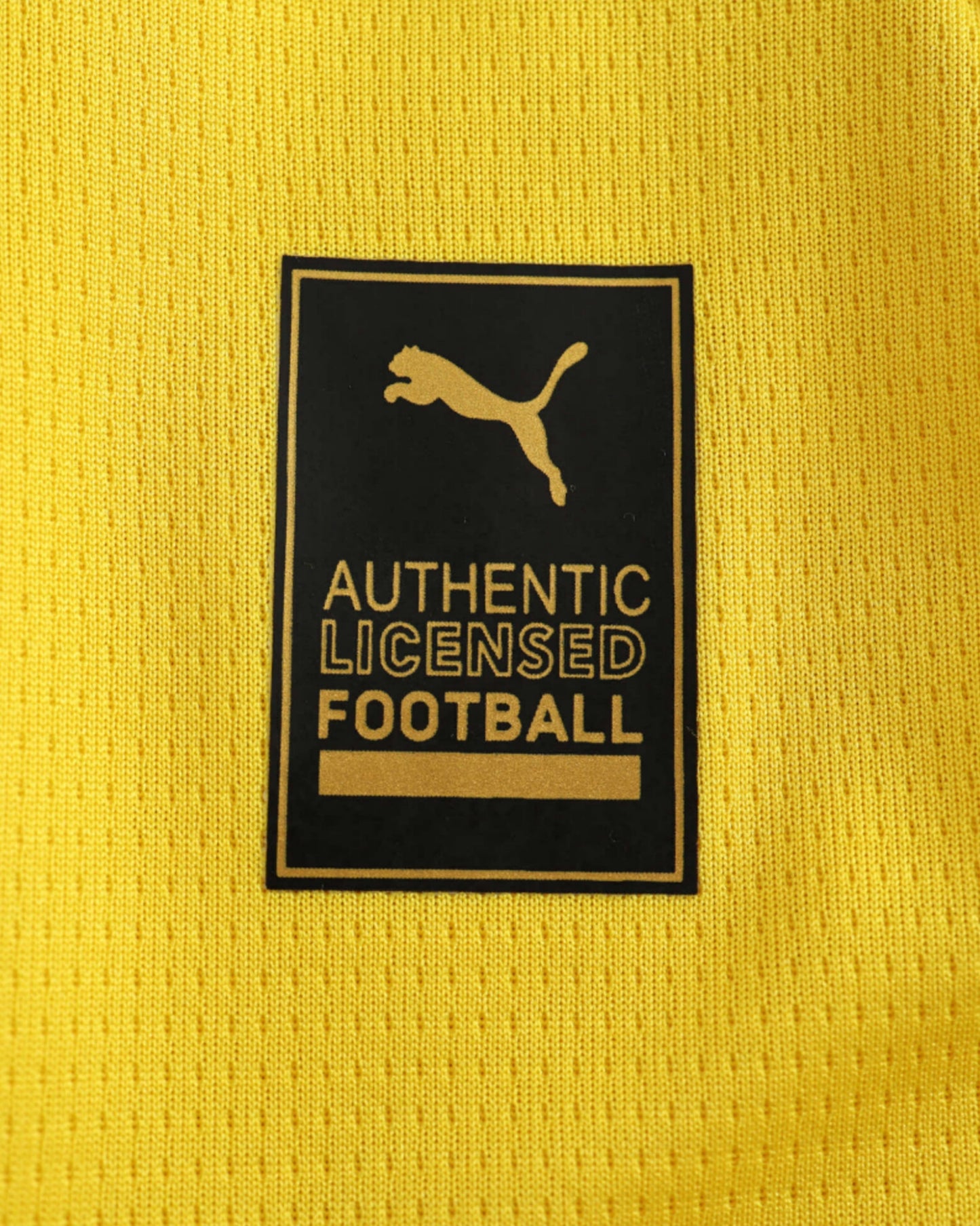 DORTMUND HOME 2024/25 - Footxo