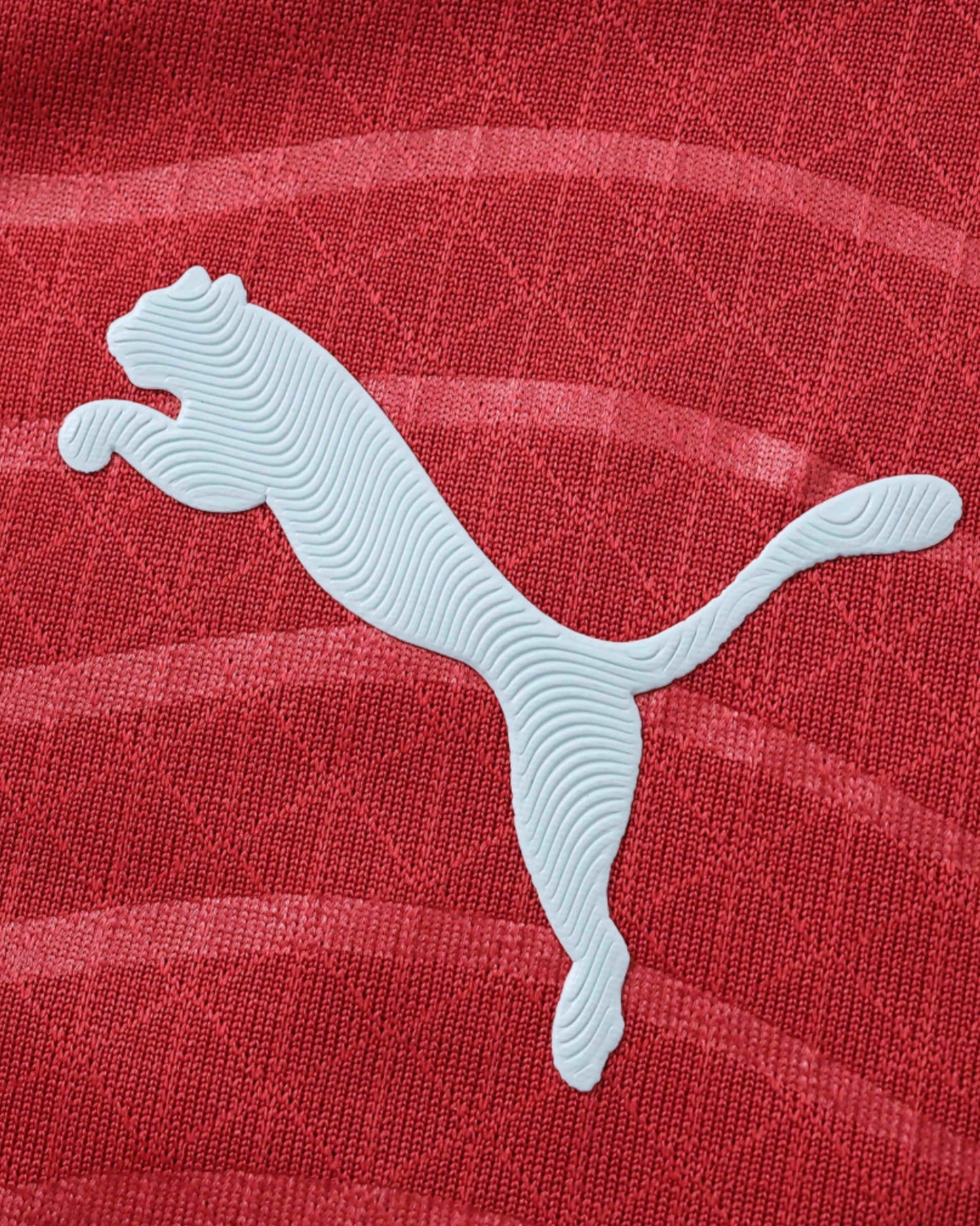 A light blue Puma logo is embossed on a red textured fabric.