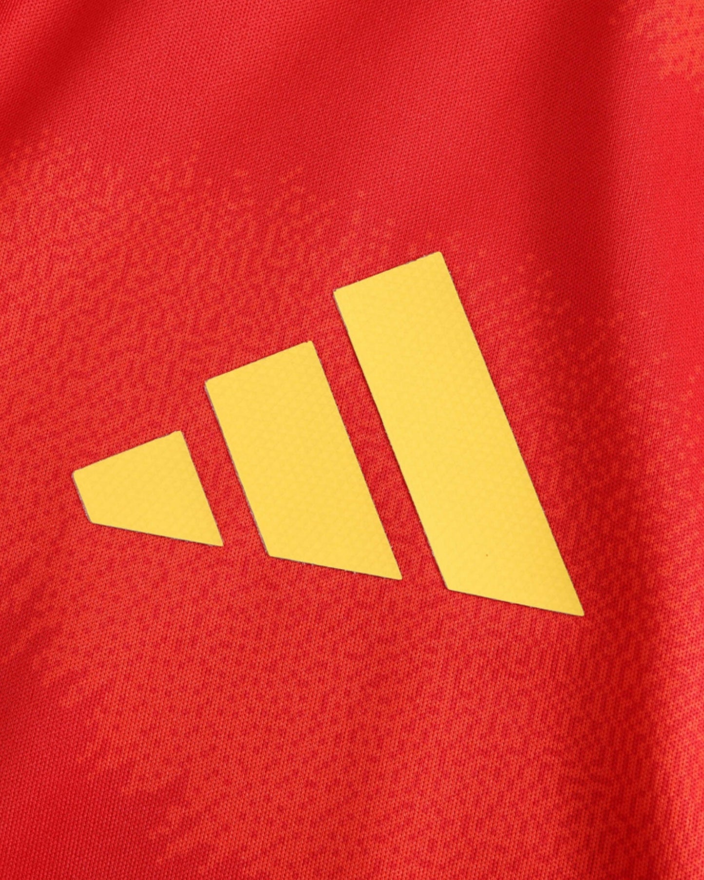 SPAIN UEFA HOME 2024/25 - Footxo