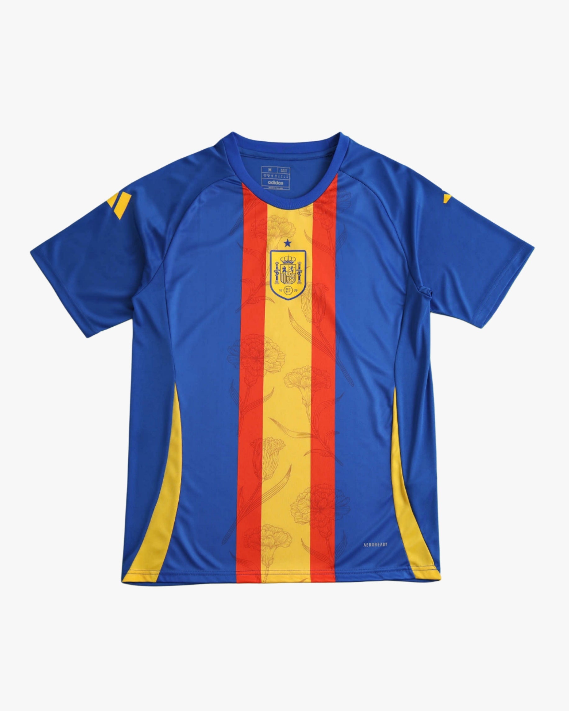 SPAIN UEFA TRAINING 2024/25 - Footxo