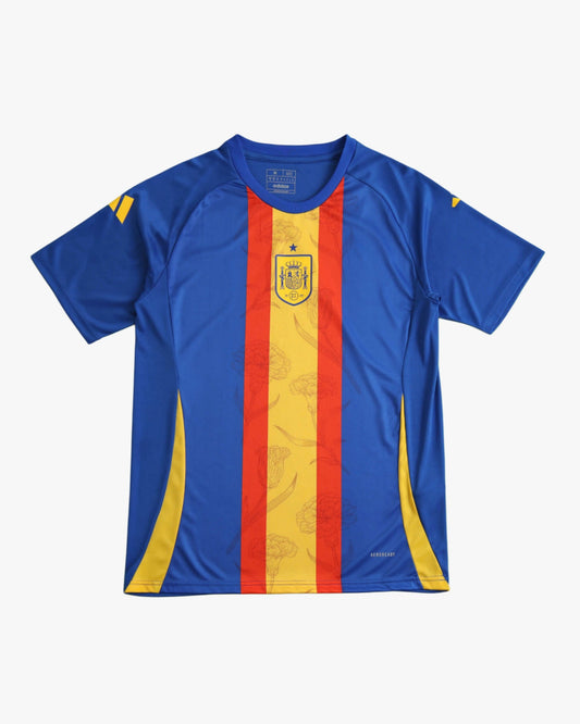SPAIN UEFA TRAINING 2024/25 - Footxo