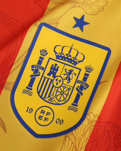 SPAIN UEFA TRAINING 2024/25 - Footxo